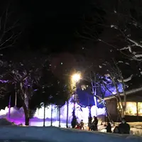 氷点下の森の写真・動画_image_220681