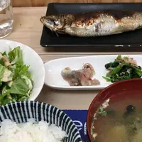魚や がんねんの写真・動画_image_220816