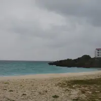 茶花海岸の写真・動画_image_221259