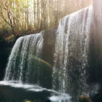 鍋ヶ滝の写真・動画_image_221302