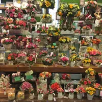 サンクチュアリの写真・動画_image_221353