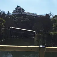 和歌山城の写真・動画_image_221370