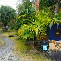 Pancafe aoの写真・動画_image_221380