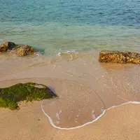 えぷろん亭の写真・動画_image_221390