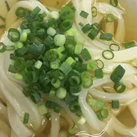 さぬきうどん綾の写真・動画_image_221875