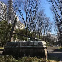 シドニー広場の写真・動画_image_222106