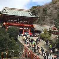 鶴岡八幡宮の写真・動画_image_222143