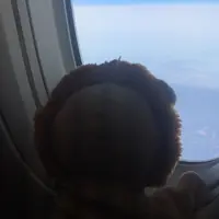 関西国際空港の写真・動画_image_222275