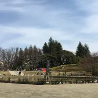 世田谷公園の写真・動画_image_222374