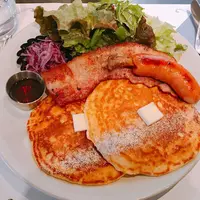 toile de libertéの写真・動画_image_222447