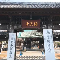 祐天寺の写真・動画_image_222448