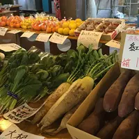 港の朝市の写真・動画_image_222624