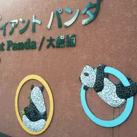上野動物園の写真・動画_image_222664