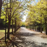 日本へそ公園の写真・動画_image_222756