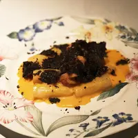 ツバキの写真・動画_image_223101