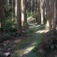曼荼羅のみち 〔熊野古道〕の写真・動画_image_223137