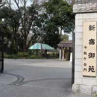 新宿御苑の写真・動画_image_223168