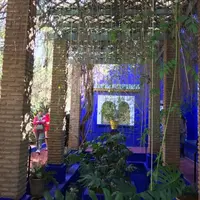 ジャーディン・マヨレルの写真・動画_image_223203