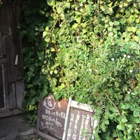 ムギマル2（mugimaru2）の写真・動画_image_223384