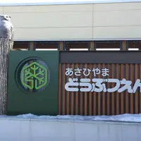 旭川市 旭山動物園の写真・動画_image_223435