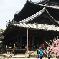 粉河寺の写真・動画_image_223478