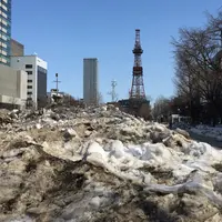 大通公園の写真・動画_image_223505