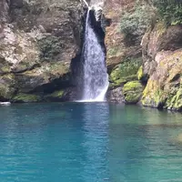 にこ淵の写真・動画_image_223515