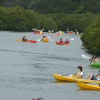 東村ふれあいヒルギ公園の写真・動画_image_223516