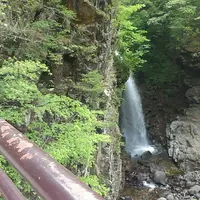 日光市の写真・動画_image_223608