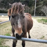つまんでご卵の写真・動画_image_223614