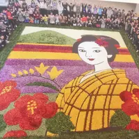 八形山フリージア畑の写真・動画_image_223637