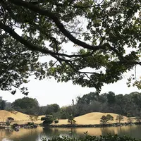 水前寺成趣園の写真・動画_image_223745