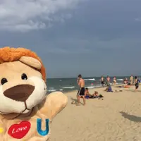 Hoi An Beach Resortの写真・動画_image_223883