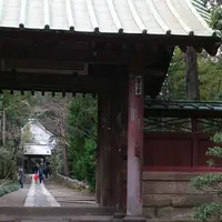 寿福寺の写真・動画_image_224029