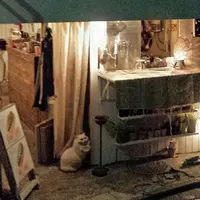 CHILITA（チリタ）の写真・動画_image_224119