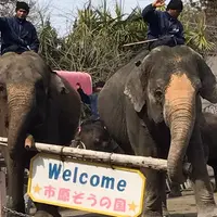 アニマルワンダーリゾウト（市原ぞうの国）の写真・動画_image_224383
