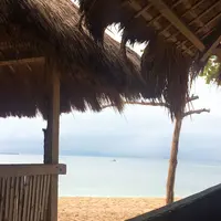 パンダノン島の写真・動画_image_224776