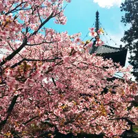 嵯峨釈迦堂（清凉寺）の写真・動画_image_224891