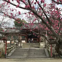 氷室神社の写真・動画_image_224968