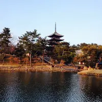 猿沢池の写真・動画_image_225005