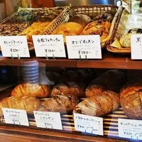 ノモケマナの写真・動画_image_225063