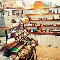 coto monoの写真・動画_image_225110