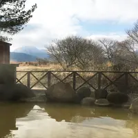 きづなの写真・動画_image_225150