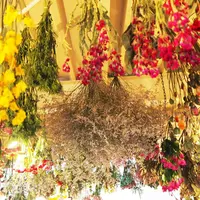 プルミエ・エタージュ （1er ETAGE） の写真・動画_image_225258