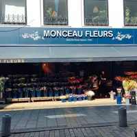 MONCEAU FLEURSの写真・動画_image_225332