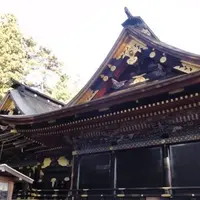 大崎八幡宮の写真・動画_image_225367
