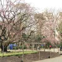 六義園の写真・動画_image_225535