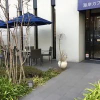 海岸カフェの写真・動画_image_225544