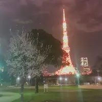 芝公園の写真・動画_image_225548