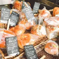 ピニョンの写真・動画_image_225784